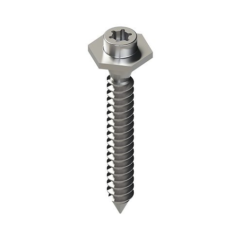 Click In - Mounting Screw