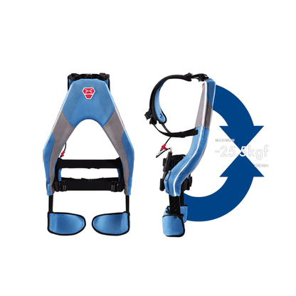 Back Support Equipment