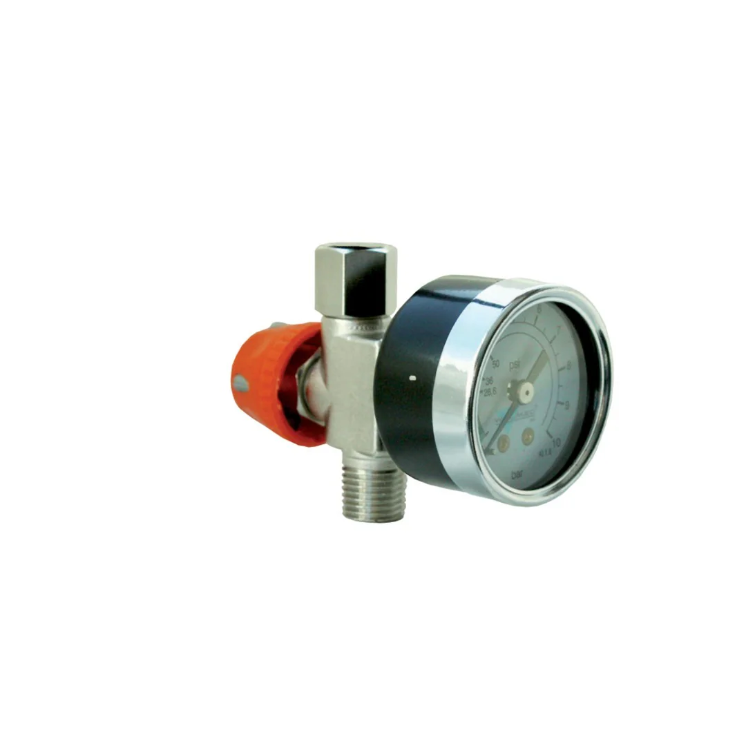 Spray Gun Pressure Regulator with Pressure Gauge (0-10 bar)